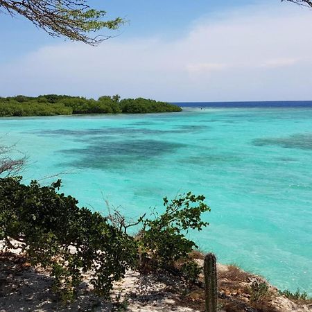 Palmhouse Apartments Aruba 1- 4 Persons Savaneta ภายนอก รูปภาพ