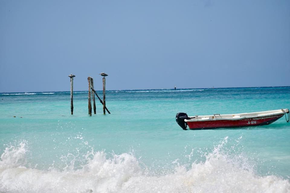 Palmhouse Apartments Aruba 1- 4 Persons Savaneta ภายนอก รูปภาพ