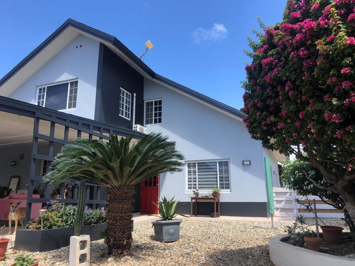 Palmhouse Apartments Aruba 1- 4 Persons Savaneta ภายนอก รูปภาพ