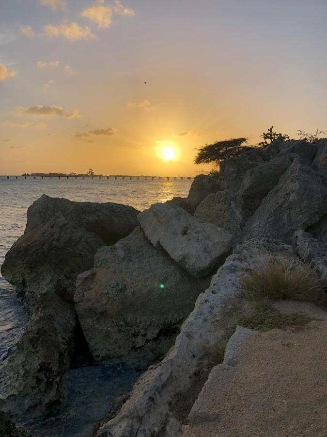 Palmhouse Apartments Aruba 1- 4 Persons Savaneta ภายนอก รูปภาพ