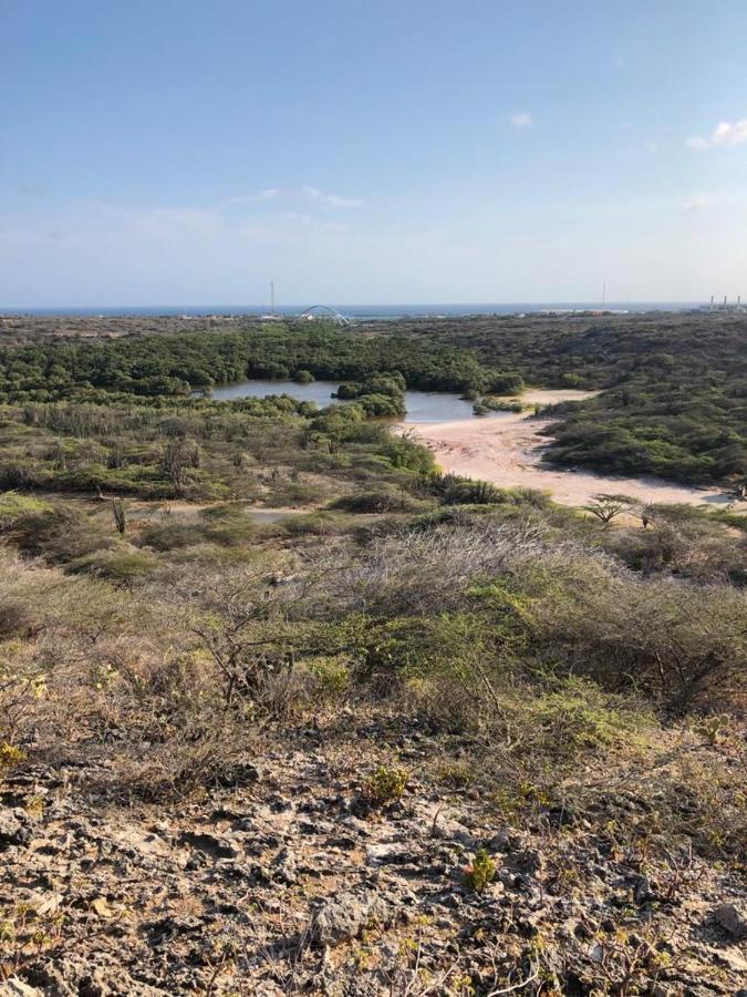 Palmhouse Apartments Aruba 1- 4 Persons Savaneta ภายนอก รูปภาพ