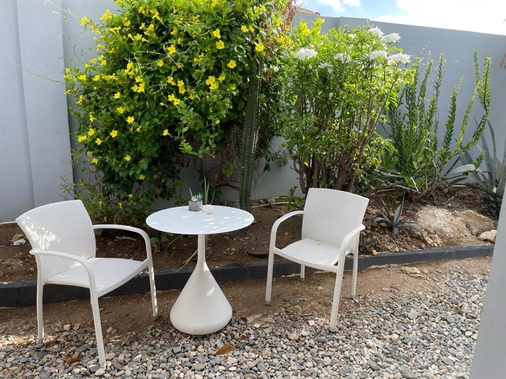 Palmhouse Apartments Aruba 1- 4 Persons Savaneta ภายนอก รูปภาพ