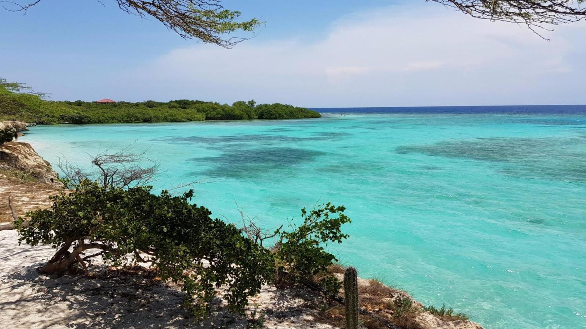 Palmhouse Apartments Aruba 1- 4 Persons Savaneta ภายนอก รูปภาพ