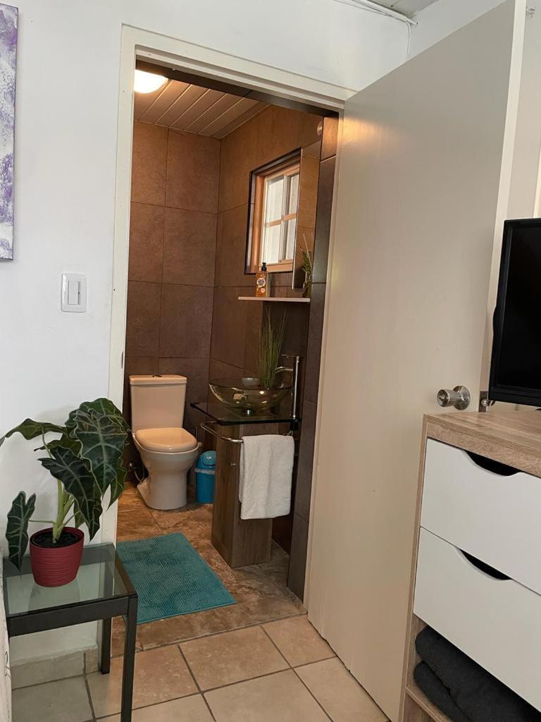 Palmhouse Apartments Aruba 1- 4 Persons Savaneta ภายนอก รูปภาพ