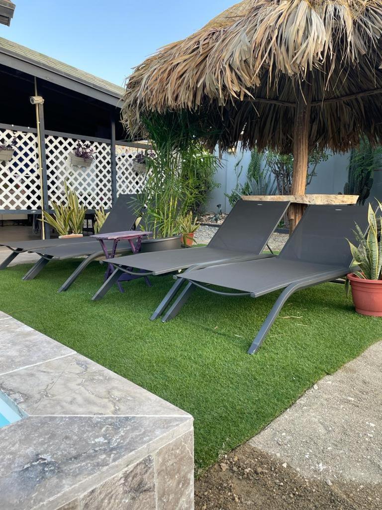 Palmhouse Apartments Aruba 1- 4 Persons Savaneta ภายนอก รูปภาพ