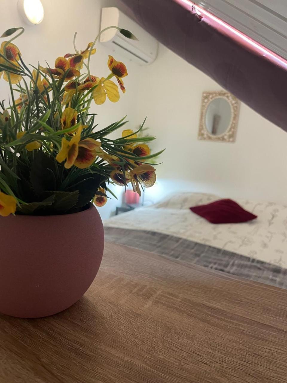 Palmhouse Apartments Aruba 1- 4 Persons Savaneta ภายนอก รูปภาพ