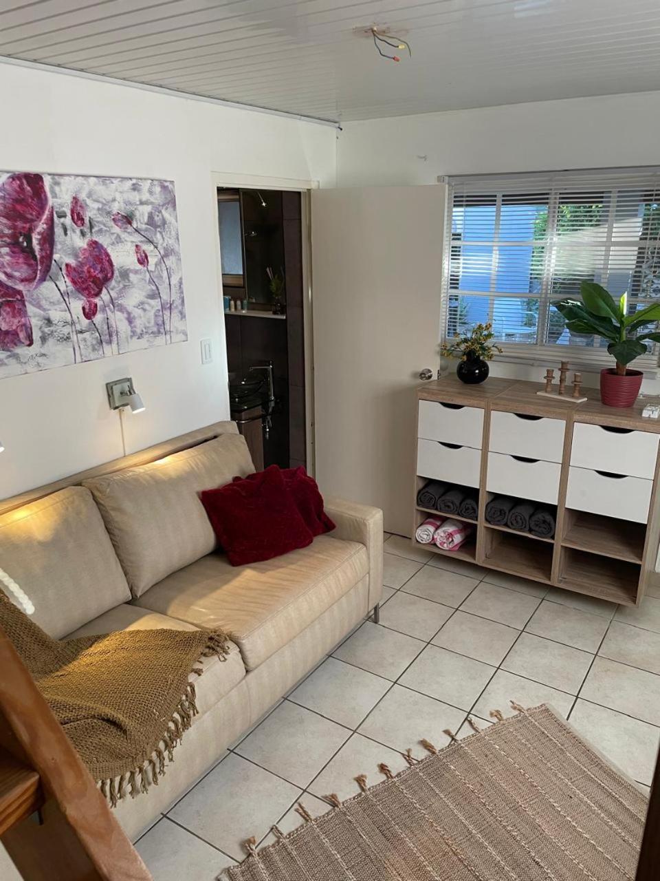 Palmhouse Apartments Aruba 1- 4 Persons Savaneta ภายนอก รูปภาพ