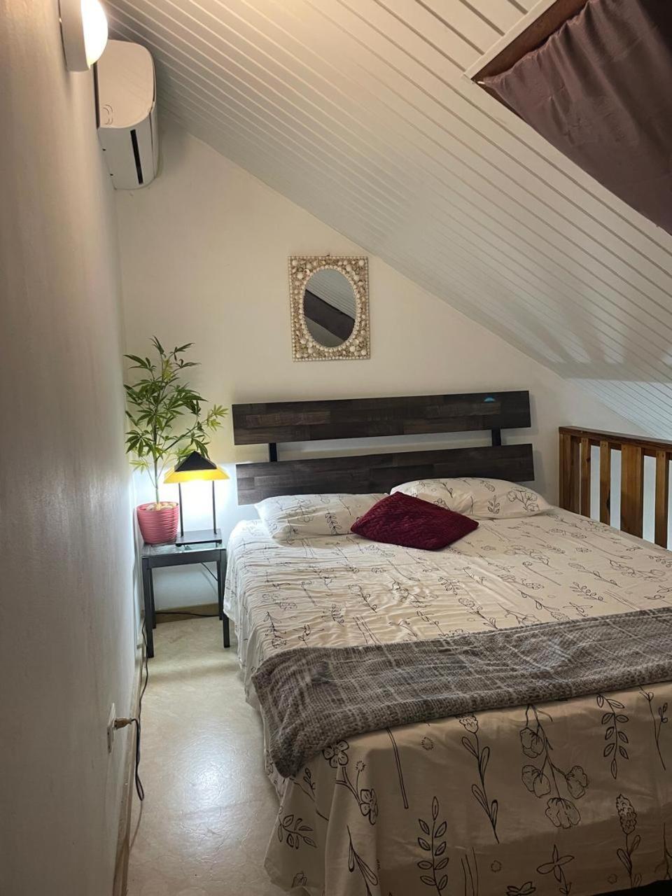 Palmhouse Apartments Aruba 1- 4 Persons Savaneta ภายนอก รูปภาพ
