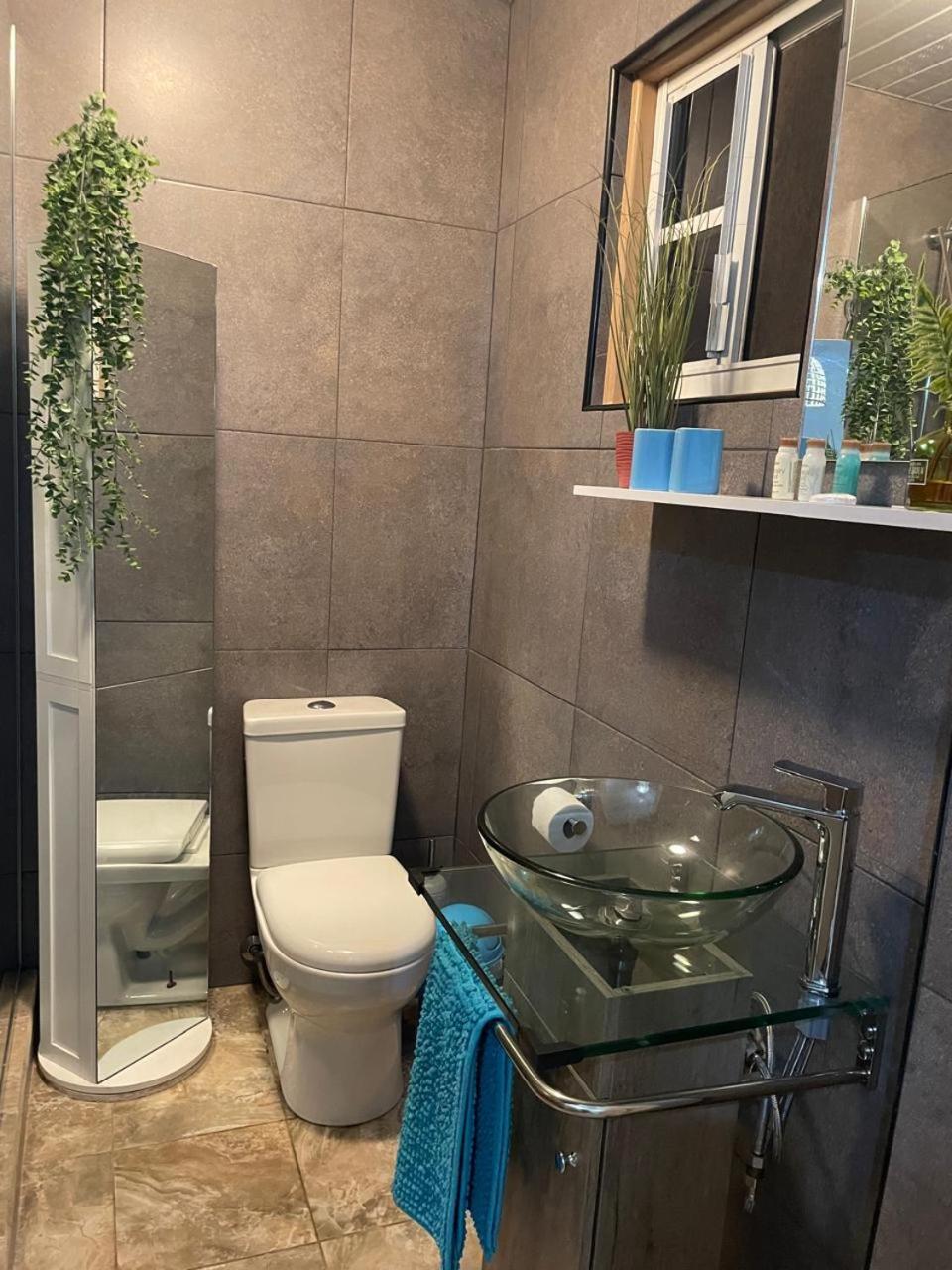 Palmhouse Apartments Aruba 1- 4 Persons Savaneta ภายนอก รูปภาพ